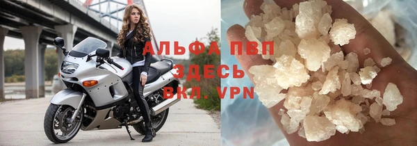 спиды Вяземский